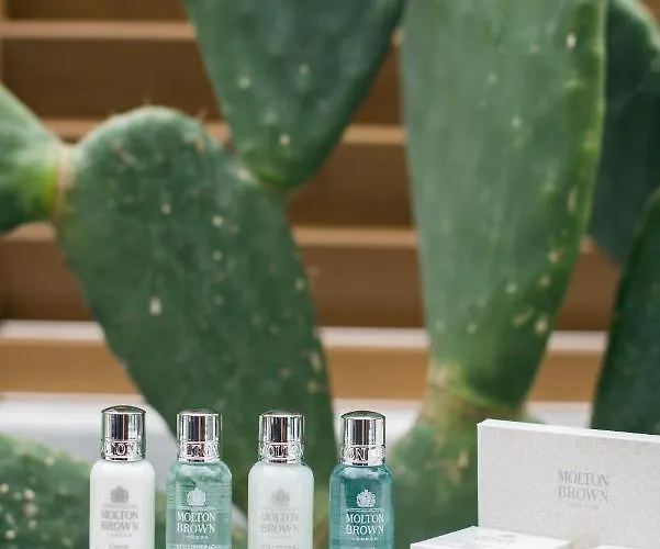 Aba ηospitalité Paros -the Superior Suite, Appartamento Naoussa